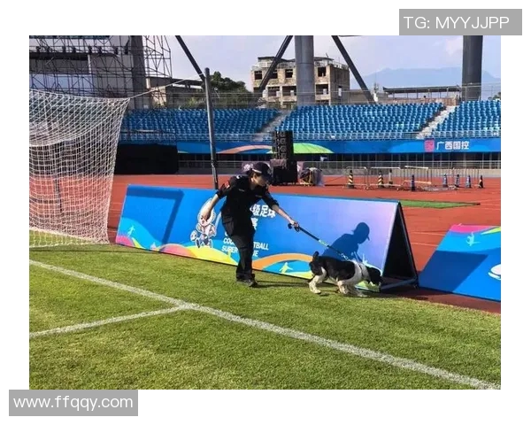 全面提升体育赛事安保措施确保观众安全与赛事顺利进行的有效策略探讨